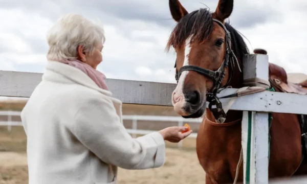 Animal Psychology Course