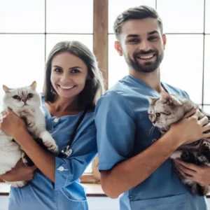 animal nursing assistant course