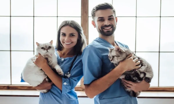 animal nursing assistant course