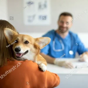 Dog Health Care