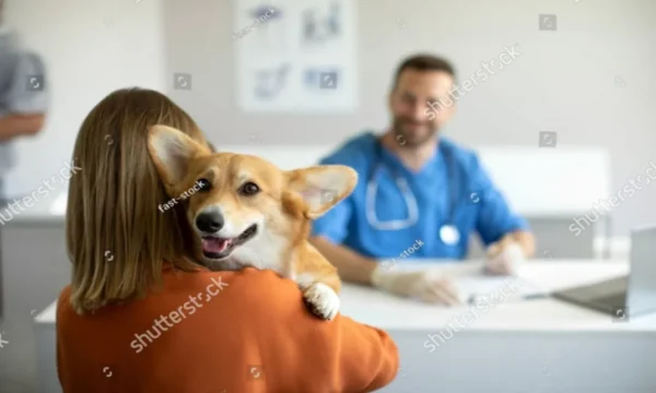 Dog Health Care