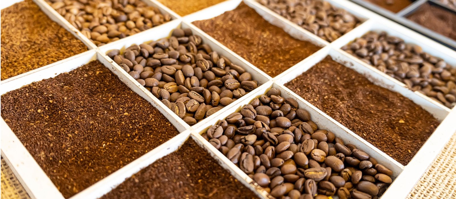 different types of coffee beans