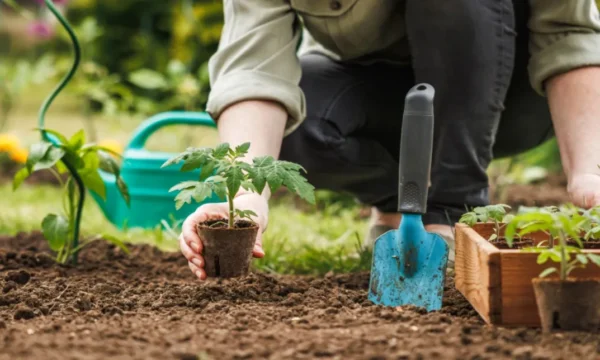 Horticulture course