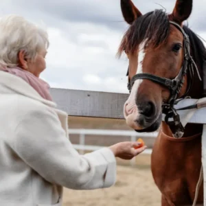 Animal Care and Psychology