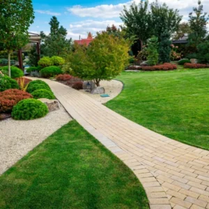 Garden Design & Landscaping