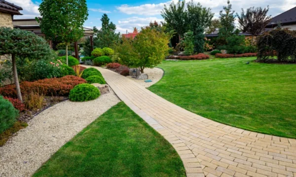 Garden Design & Landscaping