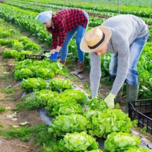 Horticultural Course