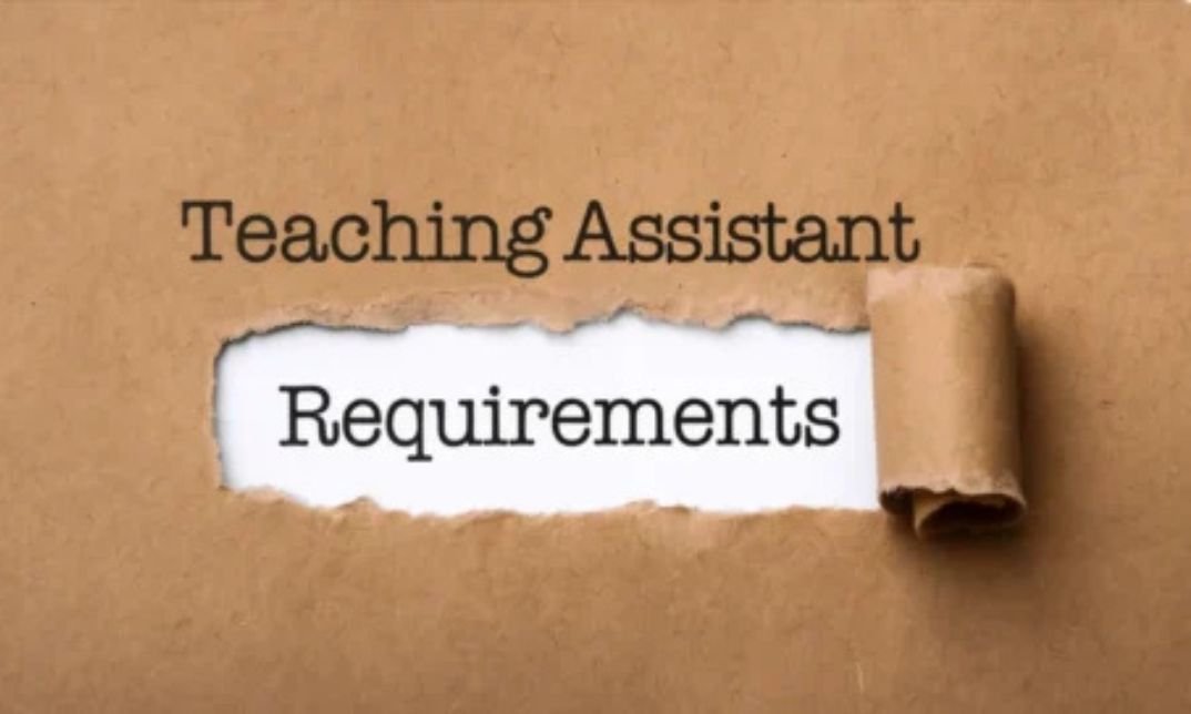 Teaching Assistant Requirements UK