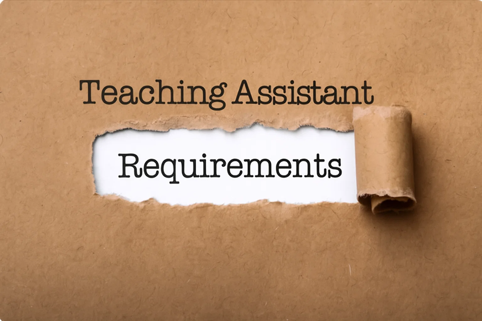 Teaching Assistant Requirements UK