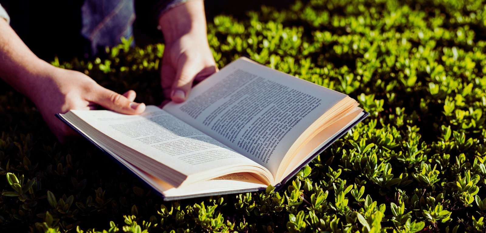 How Do Schools Support Children With SEN?